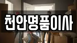천안명품이사