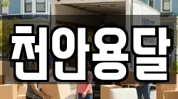 천안용달