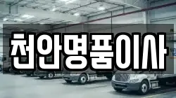 천안명품이사