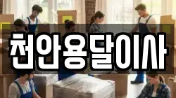 천안용달이사