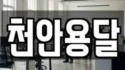 천안용달