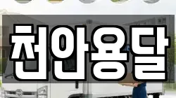 천안용달