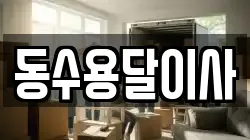 동수용달이사
