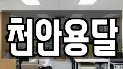 천안용달