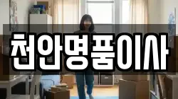 천안명품이사