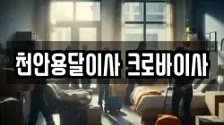 천안용달이사 크로바이사