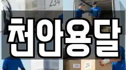 천안용달