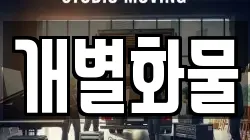 개별화물