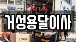 거성용달이사