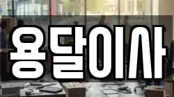 용달이사