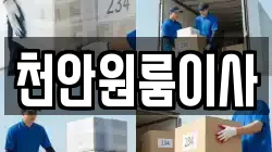 천안원룸이사