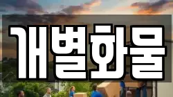 개별화물