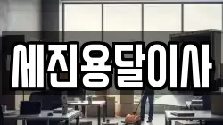 세진용달이사