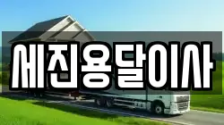 세진용달이사