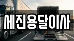 세진용달이사