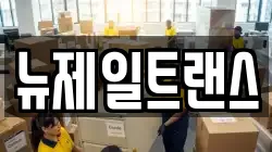 뉴제일트랜스