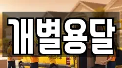 개별용달