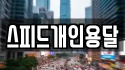 스피드개인용달