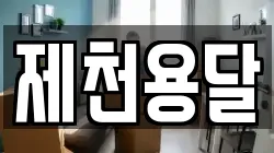 제천용달