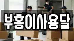 부흥이사용달