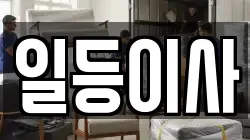 일등이사