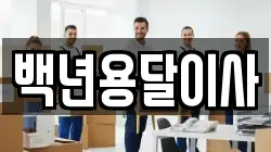 백년용달이사