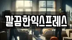 깔끔한익스프레스