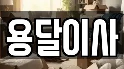 용달이사
