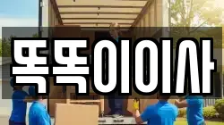똑똑이이사