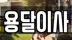 용달이사