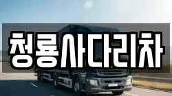 청룡사다리차