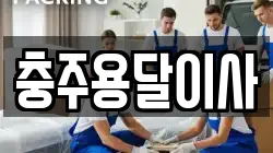 충주용달이사