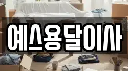예스용달이사