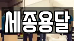 세종용달