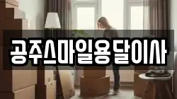 충청남도 공주시 이사,포장이사,반포장이사,원룸이사,사무실이사,용달이사,전국이사,보관이사