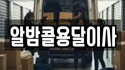 알밤콜용달이사