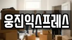 웅진익스프레스