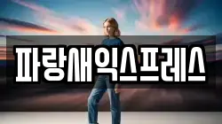 파랑새익스프레스