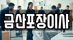 금산포장이사