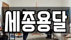 세종용달
