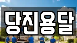 당진용달