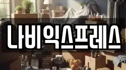나비익스프레스