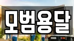 모범용달