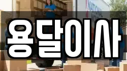 용달이사