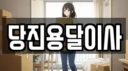당진용달이사