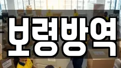보령방역