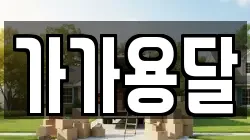 가가용달