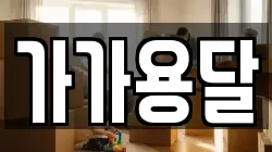 가가용달