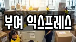 부여 익스프레스