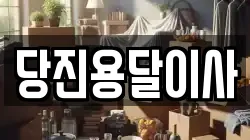 당진용달이사